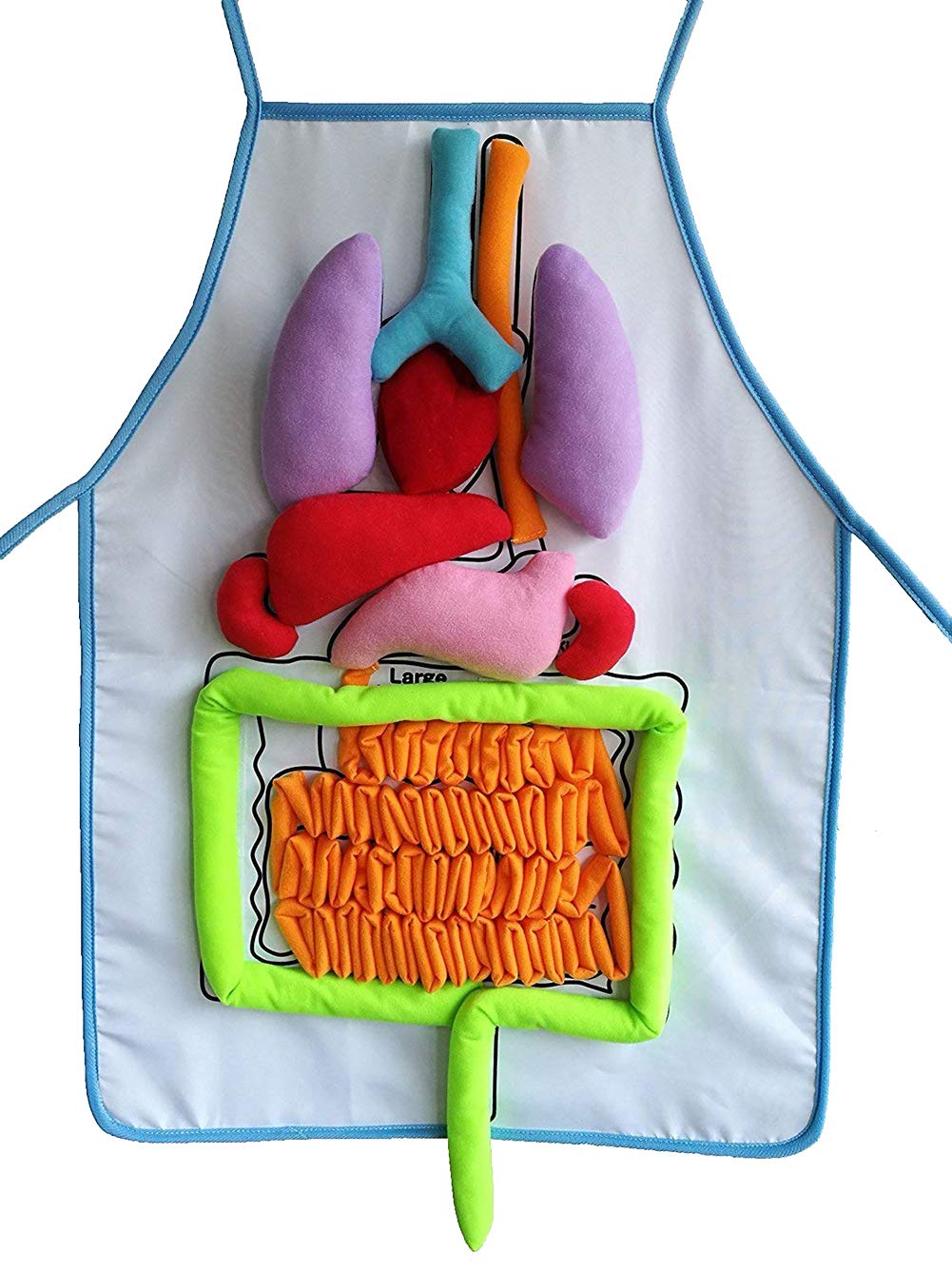 Aideal Children Learning Body Organs Apron Stuffed Toy Intuitional Anatomy Preschool Educational Activity Toys for Kids Ages 3 Year Olds and Up