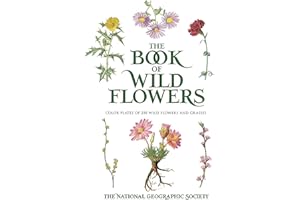 The Book of Wild Flowers: Color Plates of 250 Wild Flowers and Grasses