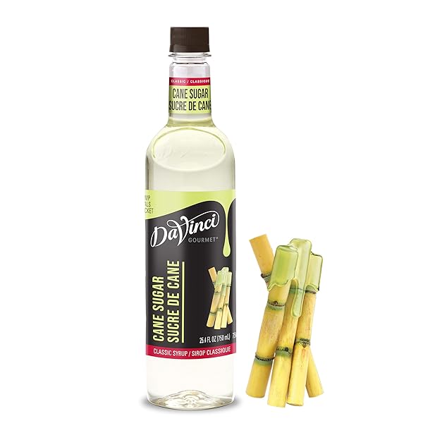 DAVINCI GOURMET CLASSIC CANE SUGAR SYRUP, 25.4 FLUID OUNCES (PACK OF 1)