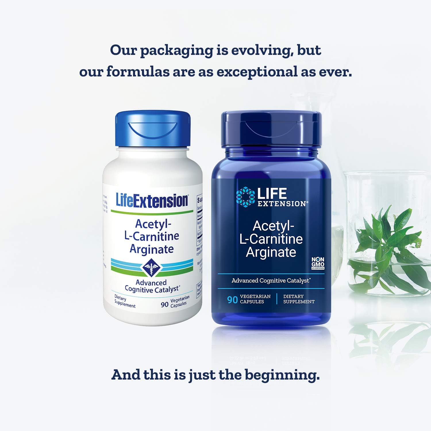 Life Extension Acetyl-L-Carnitine Arginate 90 Vegetarian Capsules: Health & Personal Care
