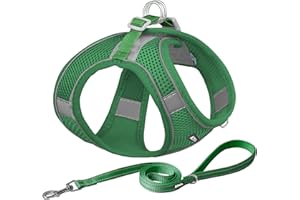 AIITLE No Pull Dog Harness and Leash Set, Step in Adjustable Dog Harness with Padded Vest for All Weather, Dog Leash with Soft Padded Handle, Easy to Put on Small and Medium Dogs Green S