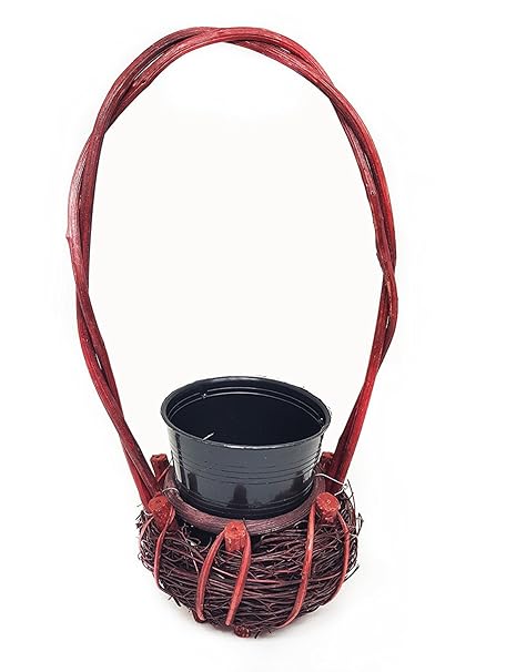 Baal Planters and Pots for Balcony Hanging Pots Decorative Balcony Plant Pot Garden Pots and Planters, 30 Gram, Brown, Pack of 1