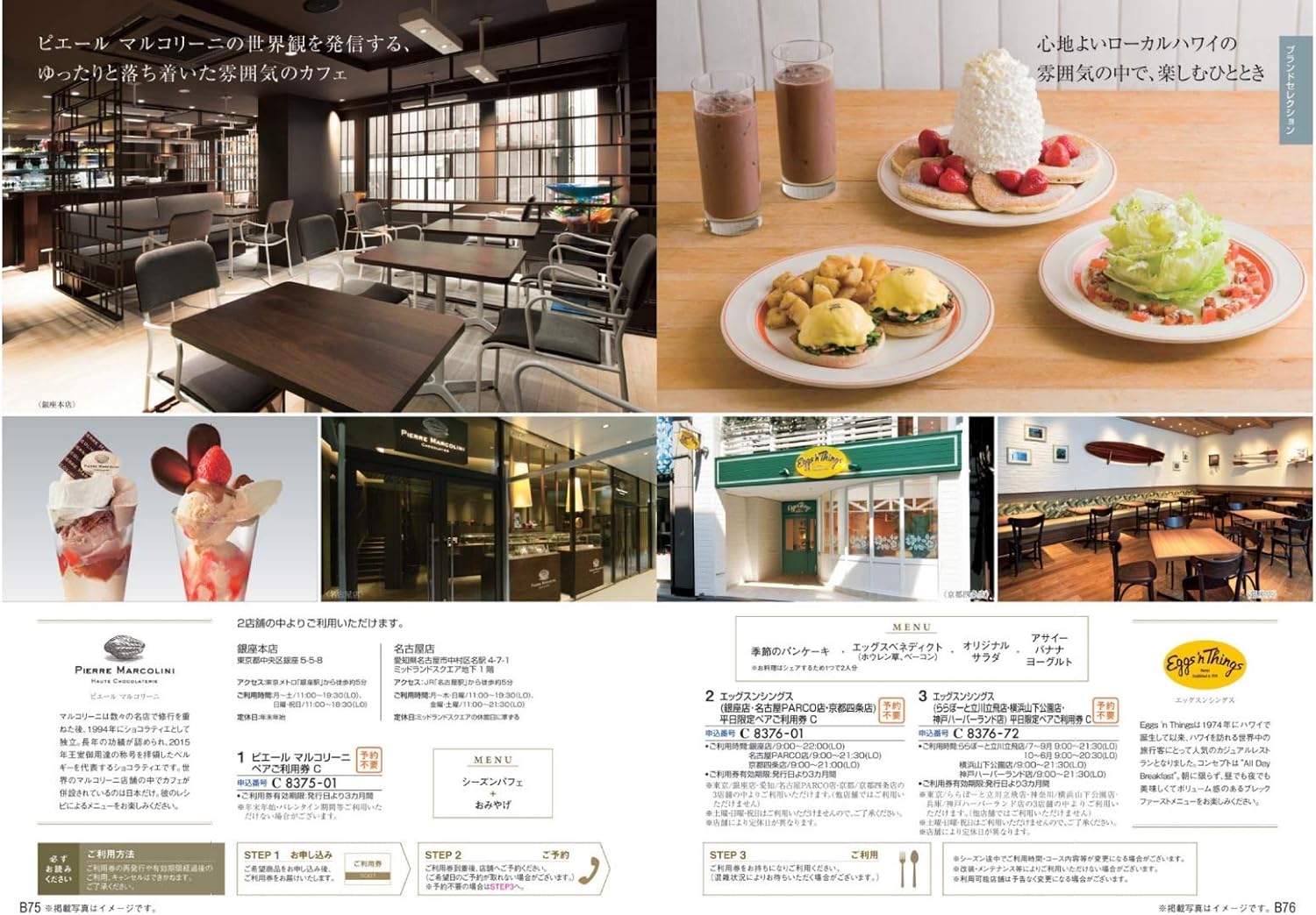 Amazon ハーモニック カタログギフト Take Your Choice テイク ユア チョイス カーネーション テイク ユア チョイス カタログギフト 通販