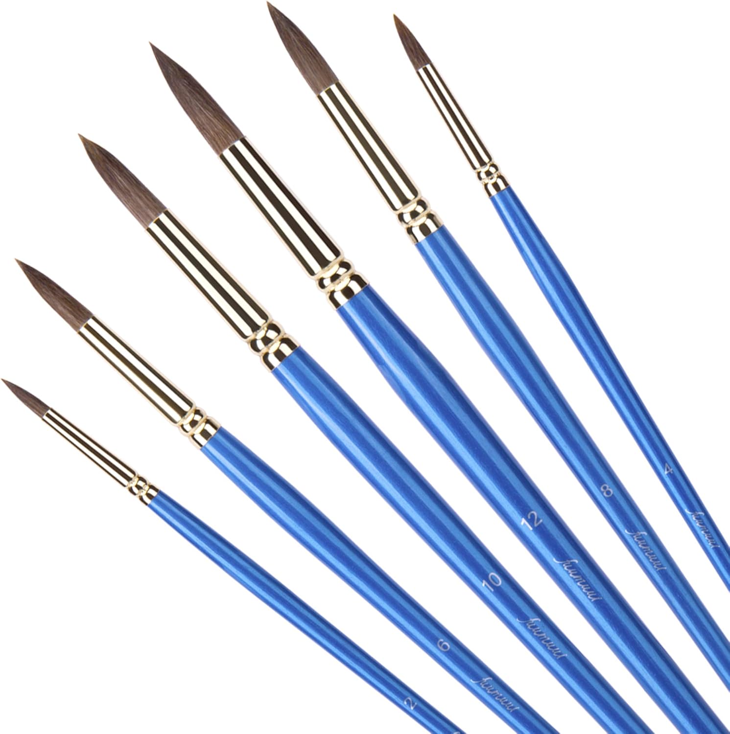 Fuumuui Artist Paint Brush Set Round Pointed Brushes for Watercolour