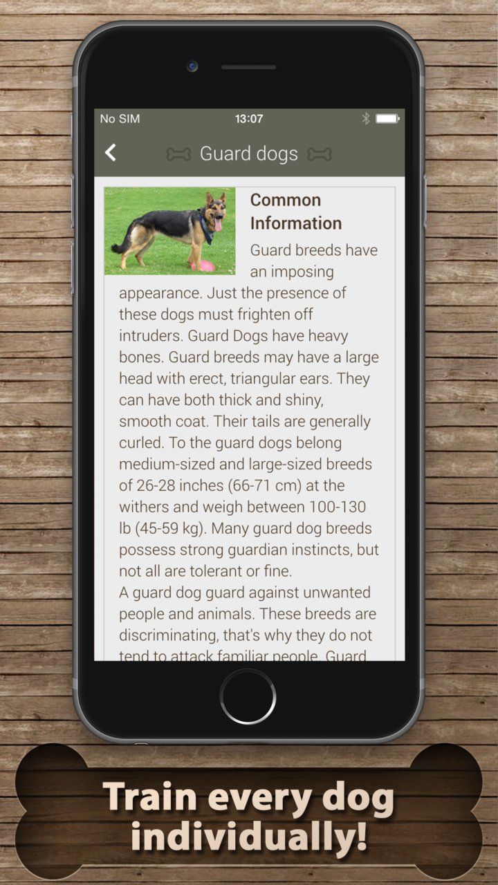 101 Dogs