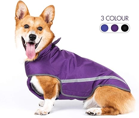 Purple dog raincoat Clearance