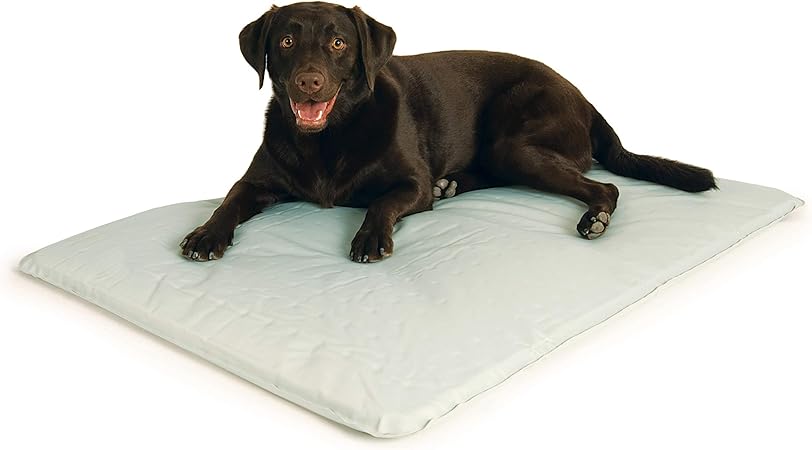 dog beds that keep dogs cool