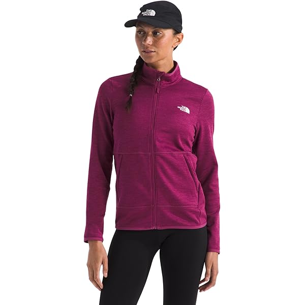 THE NORTH FACE Women's 80/20 Throwback Hoodie, Wasabi, XX