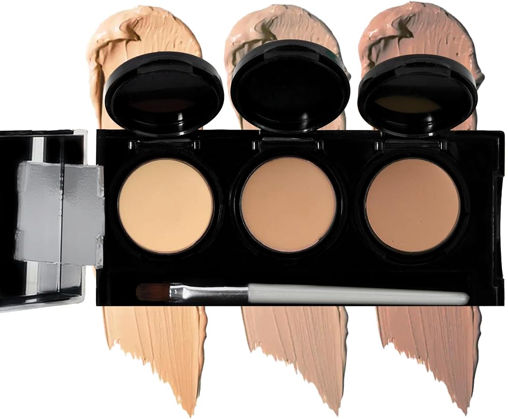 Dermaflage Full Coverage Concealer Palette 3 Colors Waterproof Cream Brush