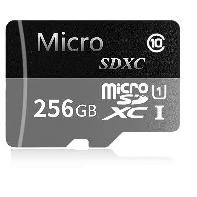 M-KING 256GB Micro SD SDXC Memory Card High Speed Class 10 with Micro SD Adapter, Designed for Android Smartphones, Tablets and Other Micro SD Card Compatible Devices (256GB)