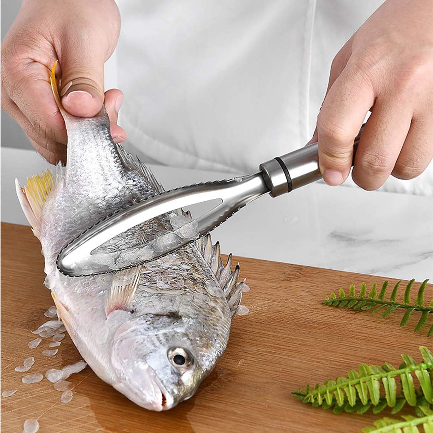 scaling fish with pressure washer