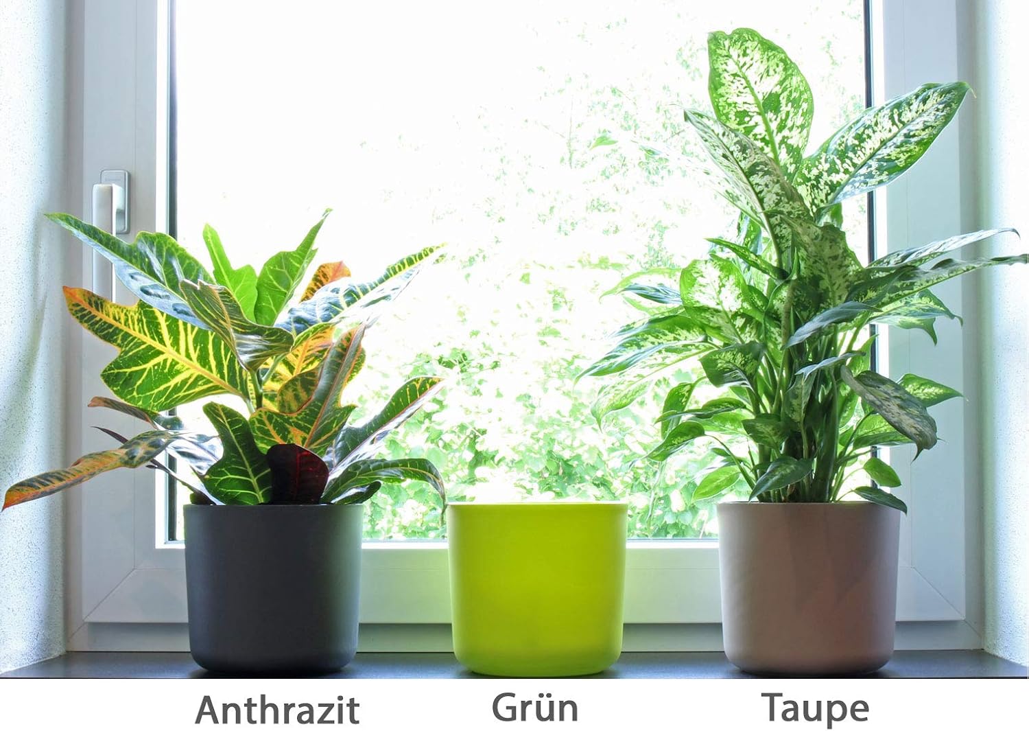 solo se puoi campagna di sensibilizzazione