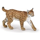 Papo Detailed Lynx Figurine Toy, Wild Life Collection, Kids Ages 3+ | Educational play observing nature and sparking the imagination | hand-painted | a great gift idea for the whole family