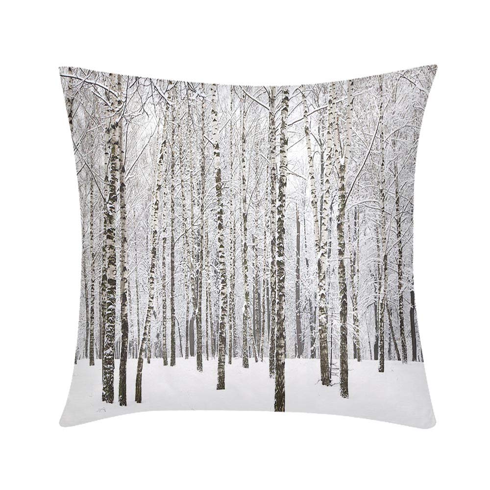 Best Birchwood Cat Bedding