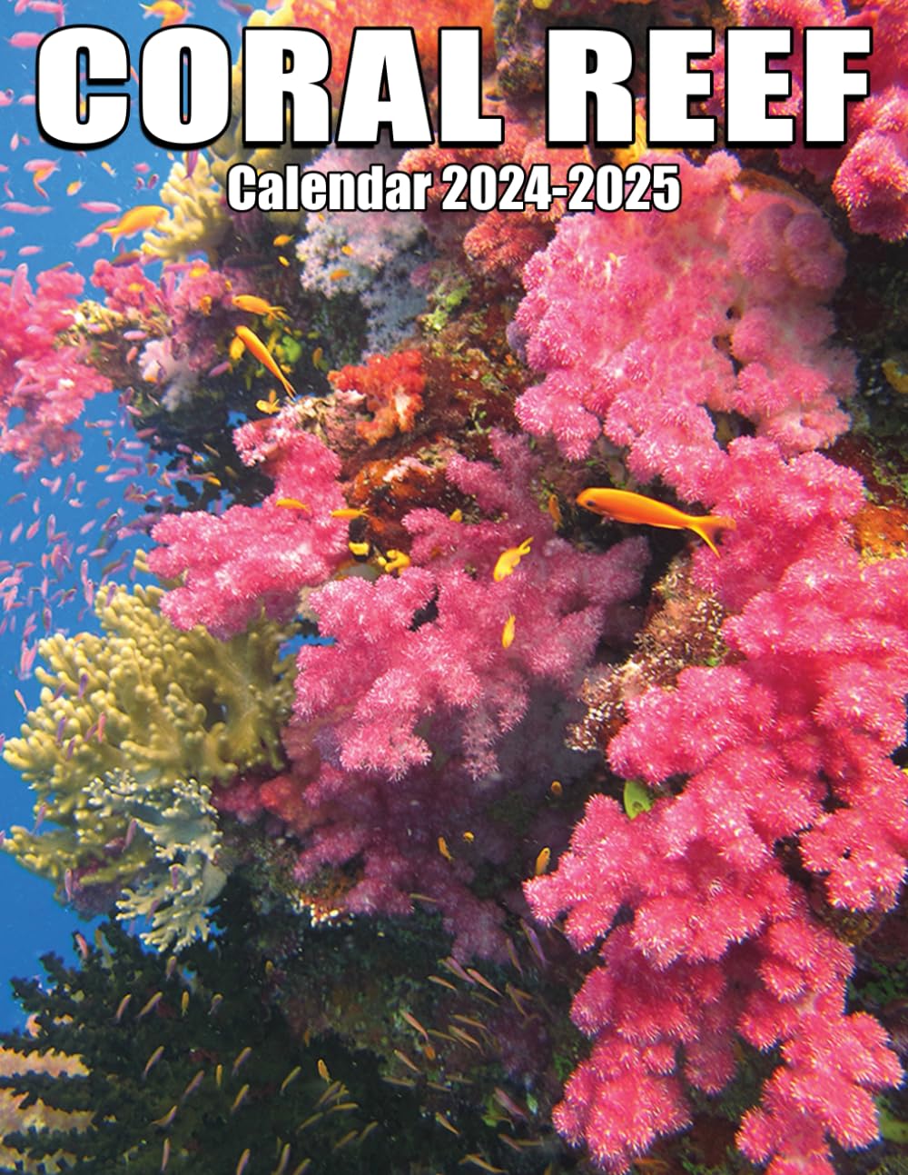 Coral Reef Calendar 2024 - 2025: 24-Month Calendar Covering Jan 2024 to December 2025, US Holidays - Great Gift For Organizing & Planning