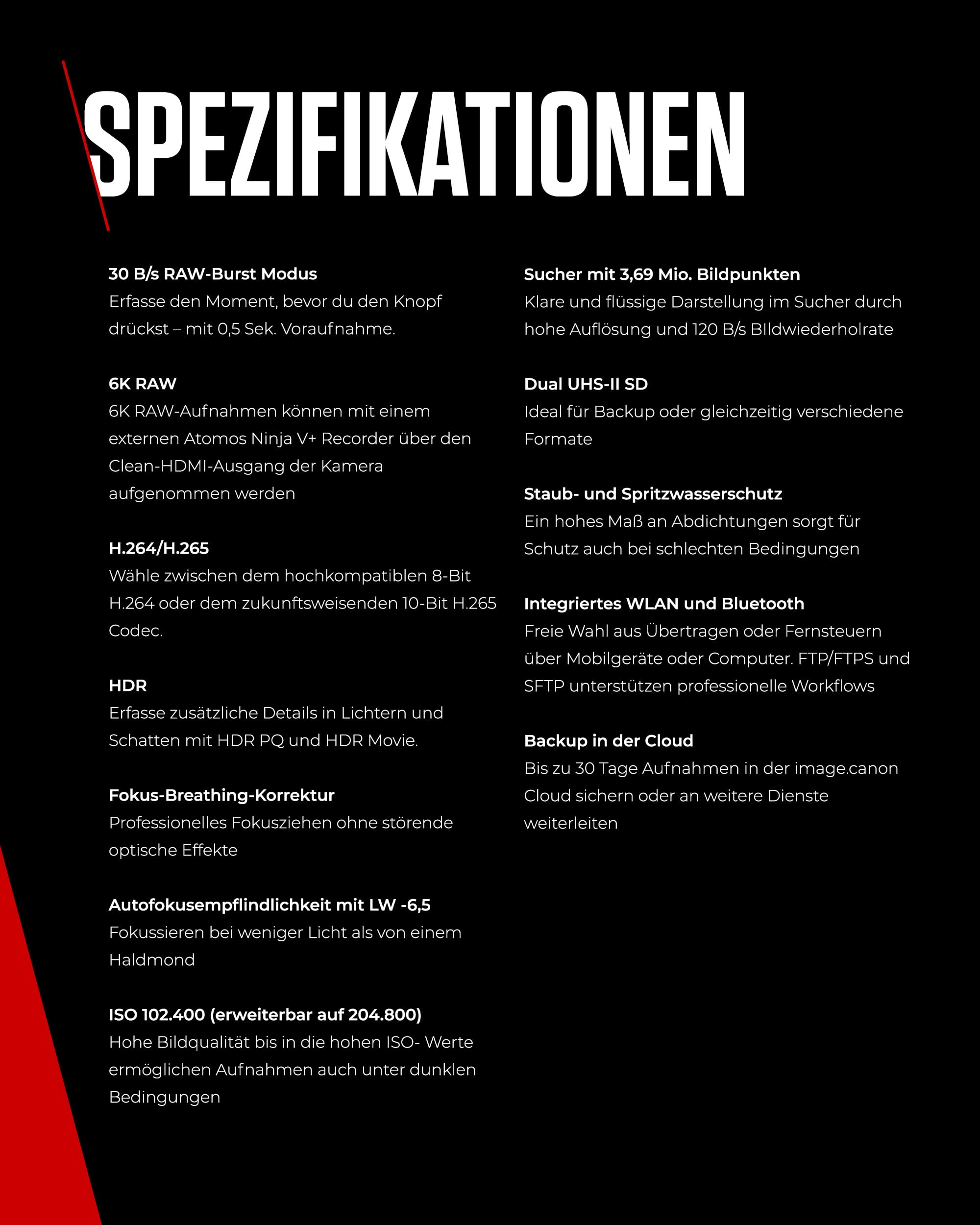Canon EOS R6 Mark II Systemkamera, Spiegellose Vollformat, 4K Video, 40 Bilder/Sekunde, Wi-Fi, Bluetooth 9