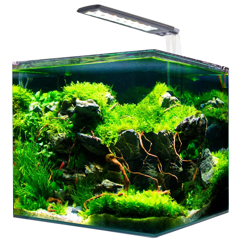 AMTRA NANOTANK SYSTEM 20 - Glass aquarium complete with LED light and filter / cm 25x25x30 / 18 Liters