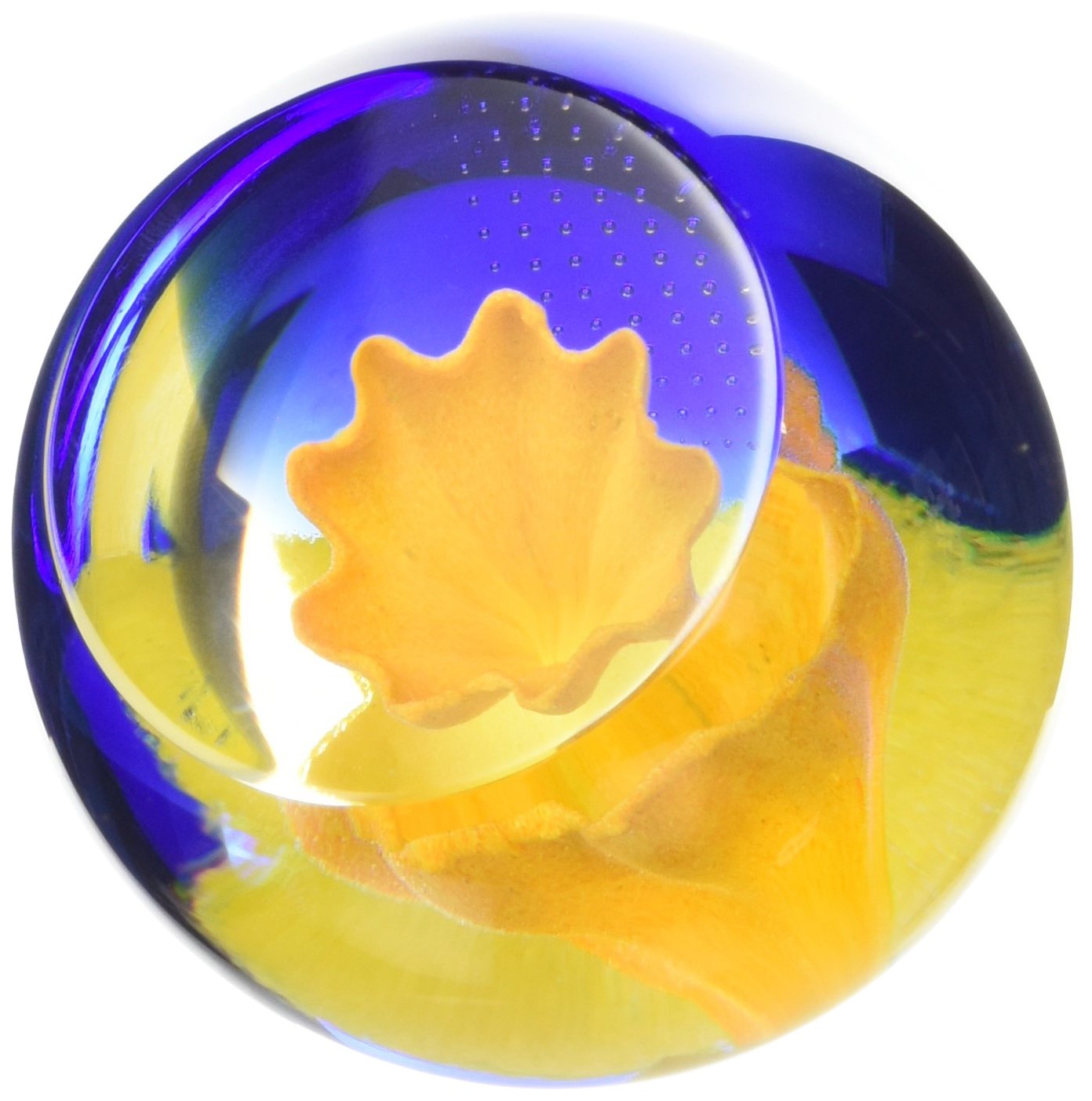 Caithness Glass Charms Daffodil Paperweight | Single | 65mm x 65mm | Handmade in Scotland | Admire the delicate floral details of a daffodil inside this faceted glass dome| Ornamental | Boxed | Gift