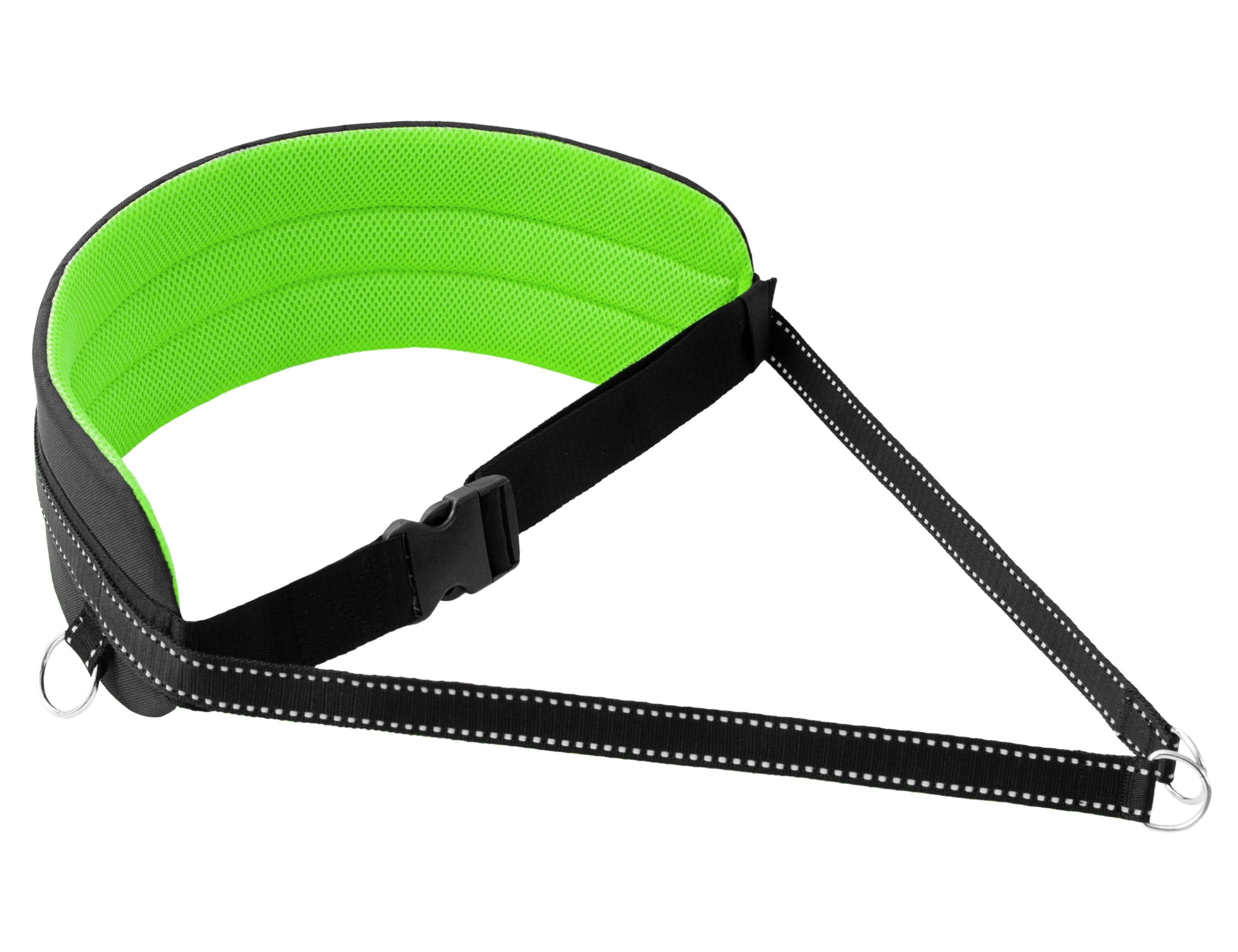 LASALINE Dog Harness for Dog Lead Canicross Dog Trekking Ski Jöring Touring Dog Sports in Black Neon Green