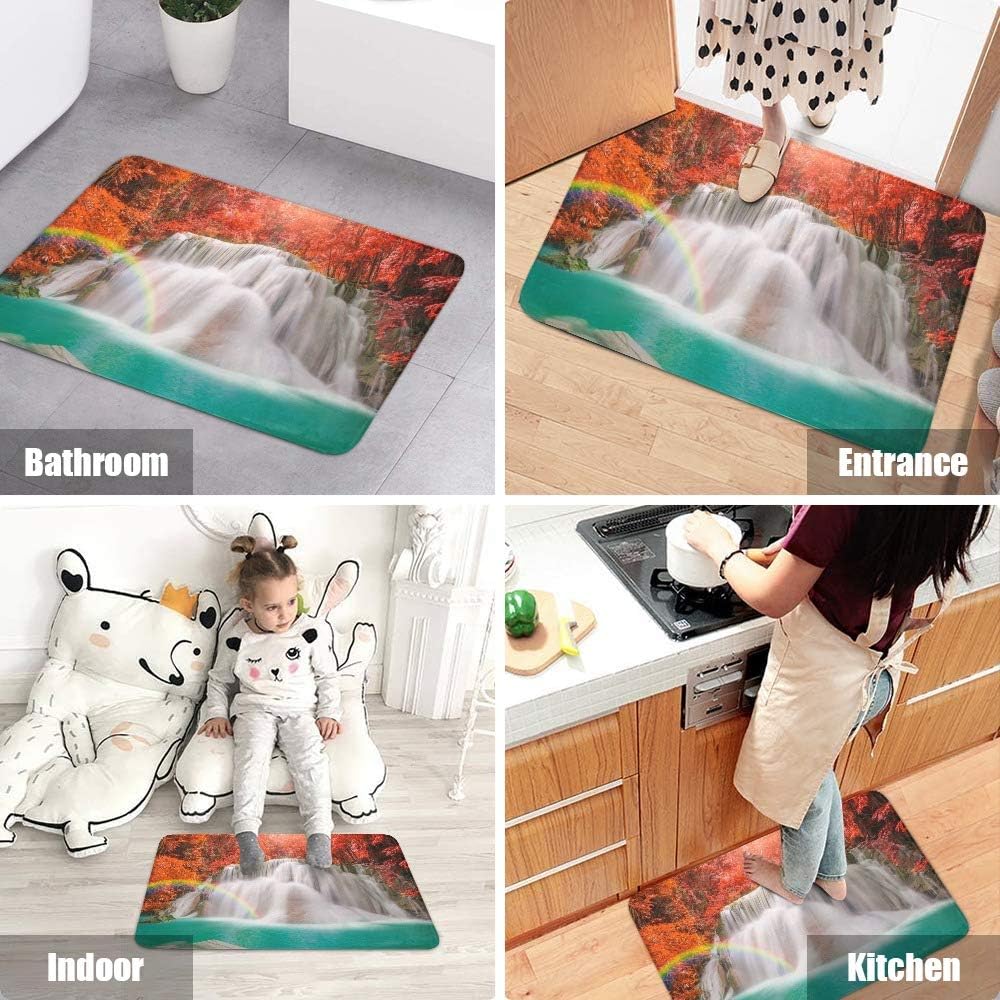 CUXWEOT Indoor Outdoor Doormat Non-Slip Backing Ultra Absorbent Mud Wonderful Waterfall Rainbow Door Mat Home Office Decorative Entry Rug Garden Kitchen Mats 23.6 x15.7 Inch : Garden & Outdoor