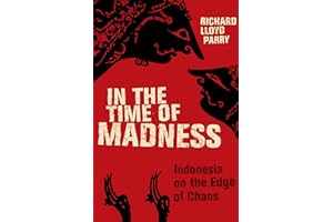 In the Time of Madness: Indonesia on the Edge of Chaos