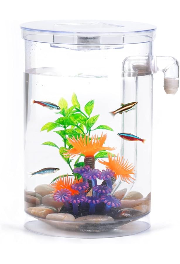 self cleaning and feeding fish tank