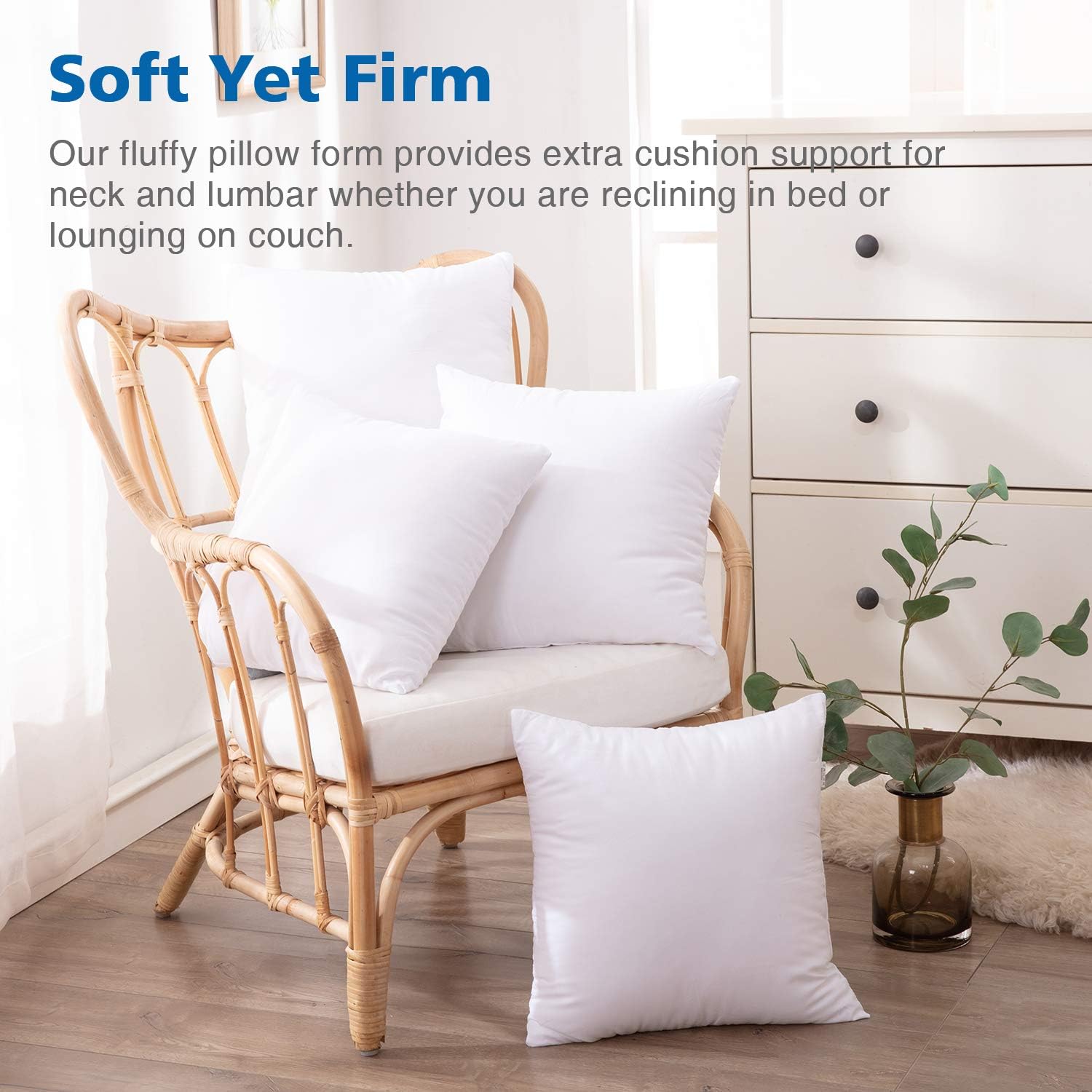 Eggishorn Throw Pillow Inserts (Pack of 2) 16x16 inch Decorative Pillow Stuffer Fully Filling with 450g Premium Resilient Microfiber Suitable for Soft Bed and Couch Cushion: Home & Kitchen
