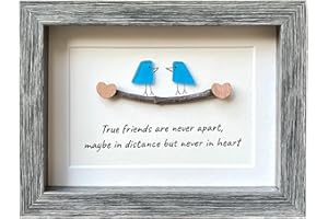 Cipliko Sea Glass Rainbow Birds Handmade Sea Glass Bird Wall Art Framed Art Sea Glass and Shells Sea Glass Artwork Sea Glass Art for W