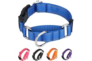BXPAW Martingale Collar for Dogs,Reflective Martingale Dog Collars with Quick Release Buckle,Adjustable Nylon No Pull Dog Collar for Dogs Walking Training (Blue, Extra Large)