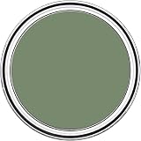 Rust-Oleum Matt Emulsion Wall Ceiling Paint - All Green 2.5L Interior Decor view 4