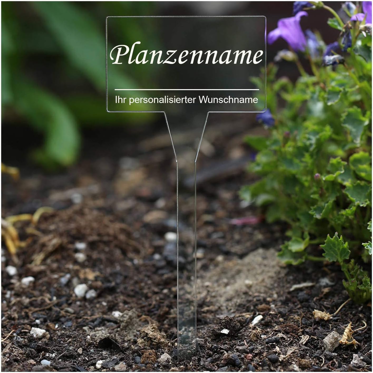 koder acrílico cristal – Etiquetas para plantas (rectangular ...