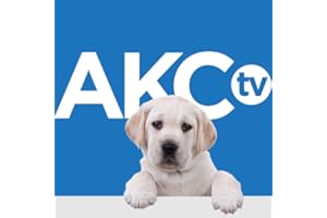 AKC.TV