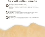 Nordic Sheep Baby Sheepskin Rug 80x60 cm | Natural Yellow Soft Cover view 4
