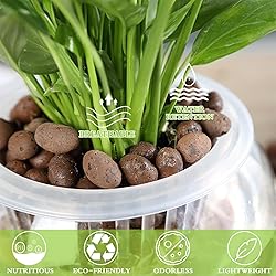 Halatool 6LB Natural Expanded Clay Pebbles for