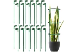 VACONICO 24 Pcs Plant Support Stakes, Half Round Plant Support for Indoor Plants, Stackable Garden Flower Support, Plant Stakes for Tomato, Monstera, Peony, Hydrangea Climbing Plants (6.2 "Wide X 11.6" High)