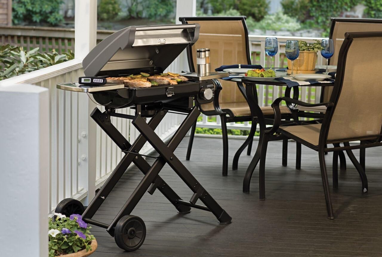 Best Folding Grills of 2021 Complete Buyer’s Guide