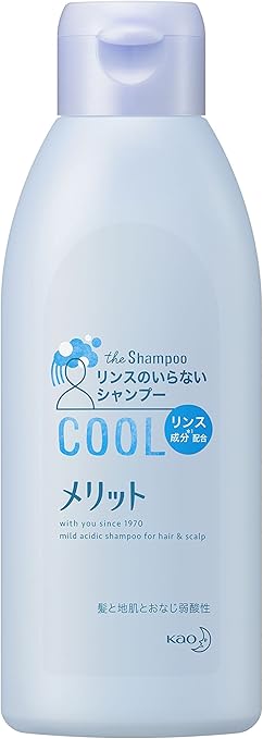 落ちた 大砲 哲学者 メリット クール シャンプー The Presidents Club Org