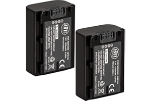 BM Premium Pack of 2 NP-FV50 Batteries for Sony HDR-CX190 HDR-CX200 HDR-CX210 HDR-CX220 HDR-CX230 HDR-CX260V HDR-CX290 HDR-CX