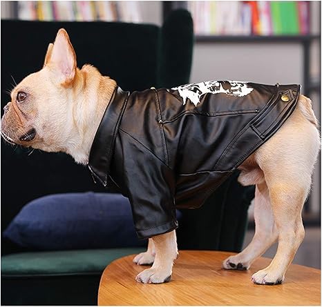 Amazon Co Jp 犬服革オートバイの闘牛パグ犬いじめファッションブランドの秋冬ペット中小犬服 Color Black Xl 10 5 13 5kg ホーム キッチン
