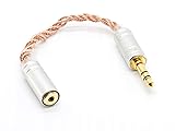 iBasso CA01 2.5mm Balanced to 3.5mm Single Ended