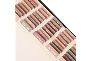 Lumintutu Laminated Bible Tabs, Gold Foil Large Print Lettering, 90 Tabs Bible Study Journaling Supplies, Christian Gift for Women and Men, She Reads Truth Bible (Dusty Rose)