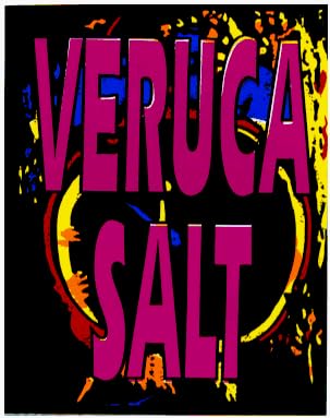 Veruca Salt - Purple Logo - Sticker / Decal