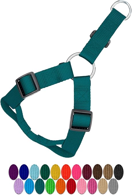 teal dog harness