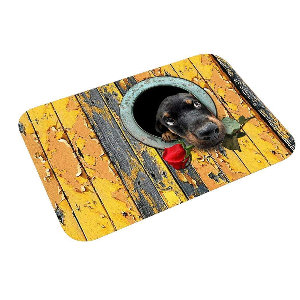 Junio1 Nuevo hogar, baño, Dormitorio, Felpudo, Piso, alfombras Antideslizantes Suaves Alfombras