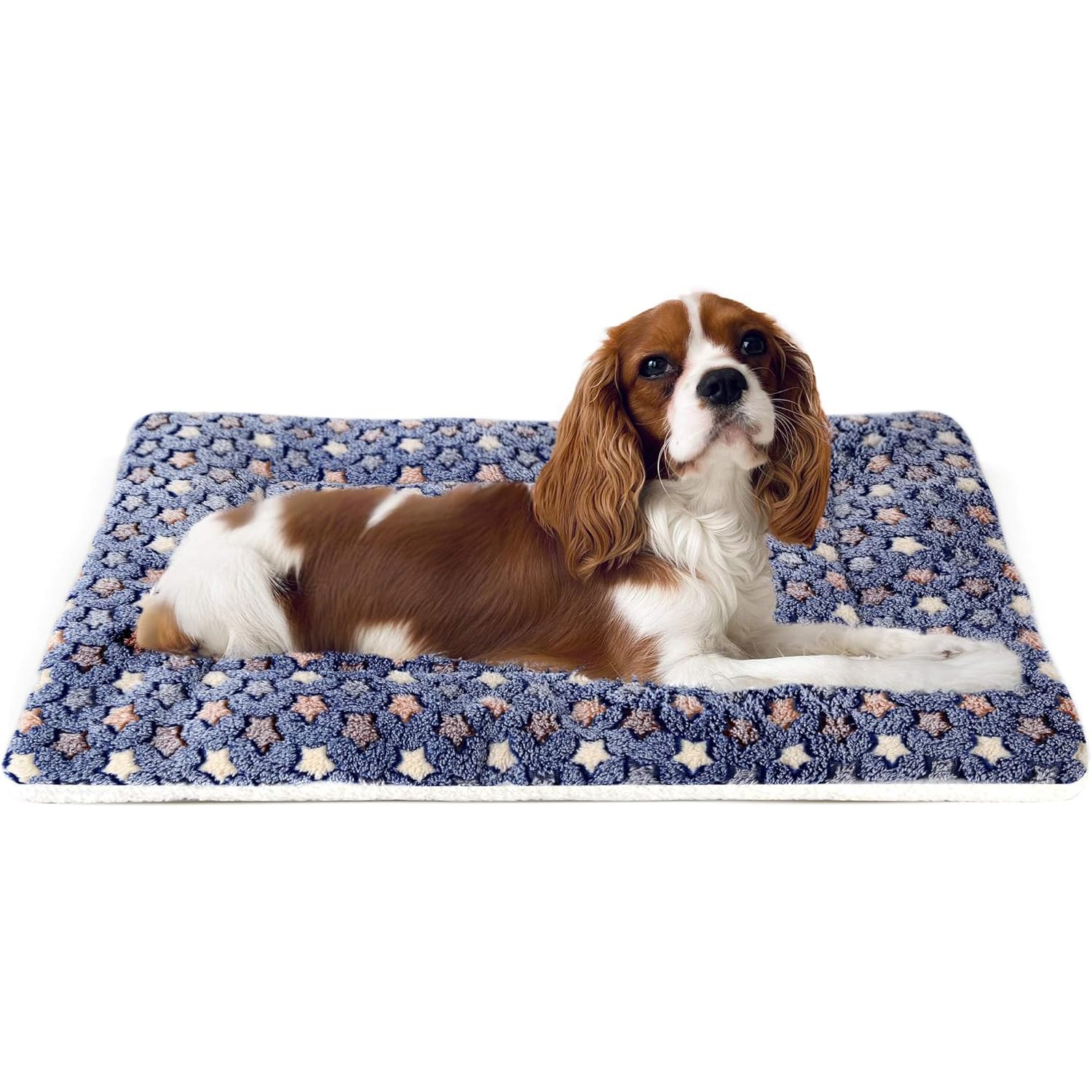 View of Mora Pets Dog Bed Crate Pad Ultra Soft Pet Bed with Cute Star Print ...