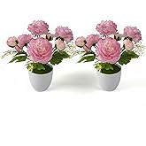 NoriStyle 2 Packs Small Potted Silk Artificial Flowers, Fake Potted Ranunculus Plants for Home Desk Decor Wedding Centerpiece, Real Touch Indoor Plants with Lightweight Pots (Purple Pink)