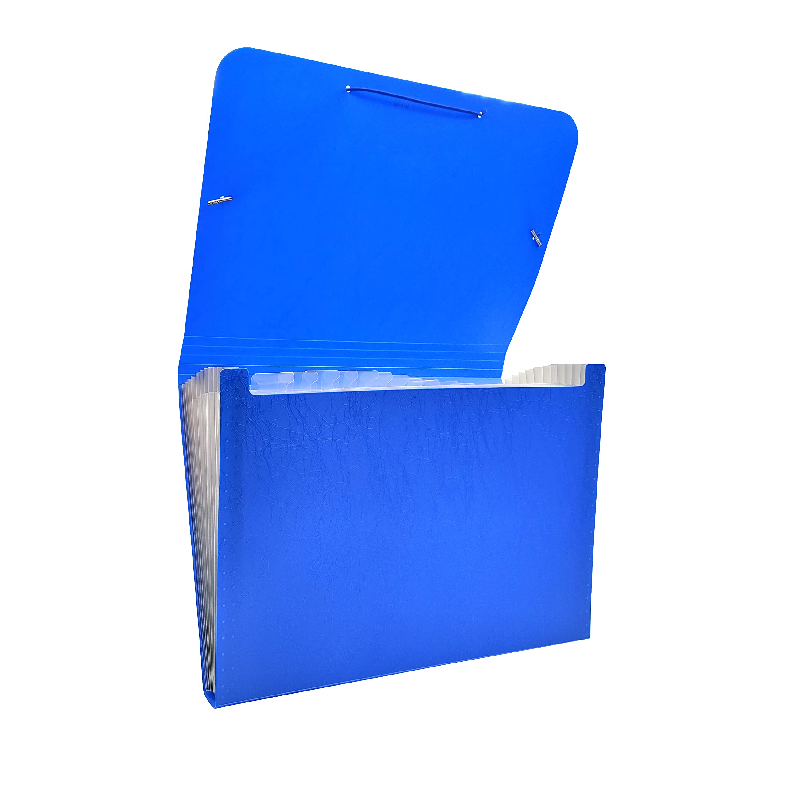 Raylu Paper® - Accordion Sorting Folder 12 Pockets Opaque Plastic Folder with Dividers for Office (Blue)