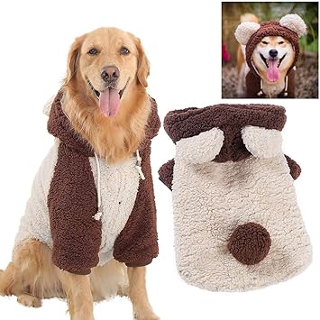 abbigliamento cani fila