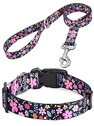 HQYDDMI Dog Collar and Leash Set for Medium