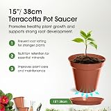 Whitefurze G04128 Garden Pot Saucer for 38cm Pot Terracotta view 2